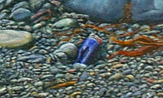 Defeater lighter detail