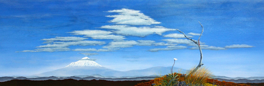 Ngauruhoe to Taranaki